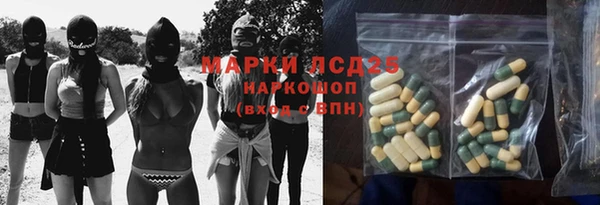 индика Балахна