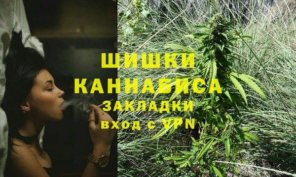 индика Балахна