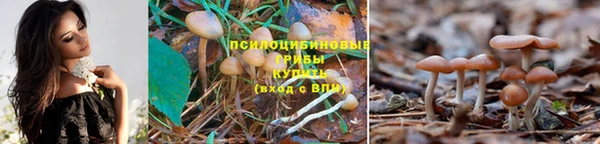 марки nbome Баксан
