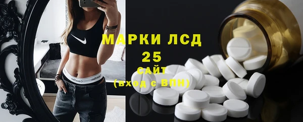индика Балахна