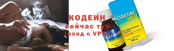 индика Балахна