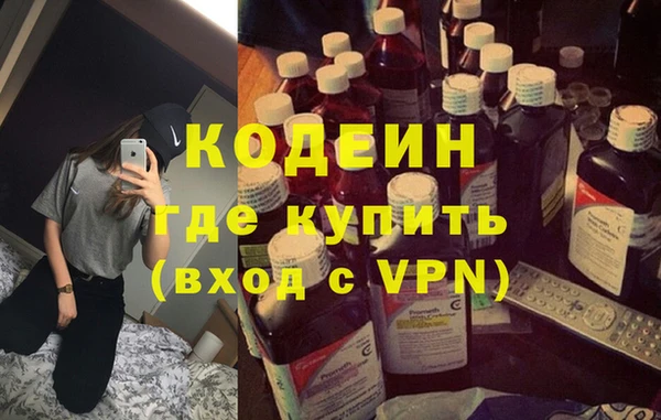 индика Балахна